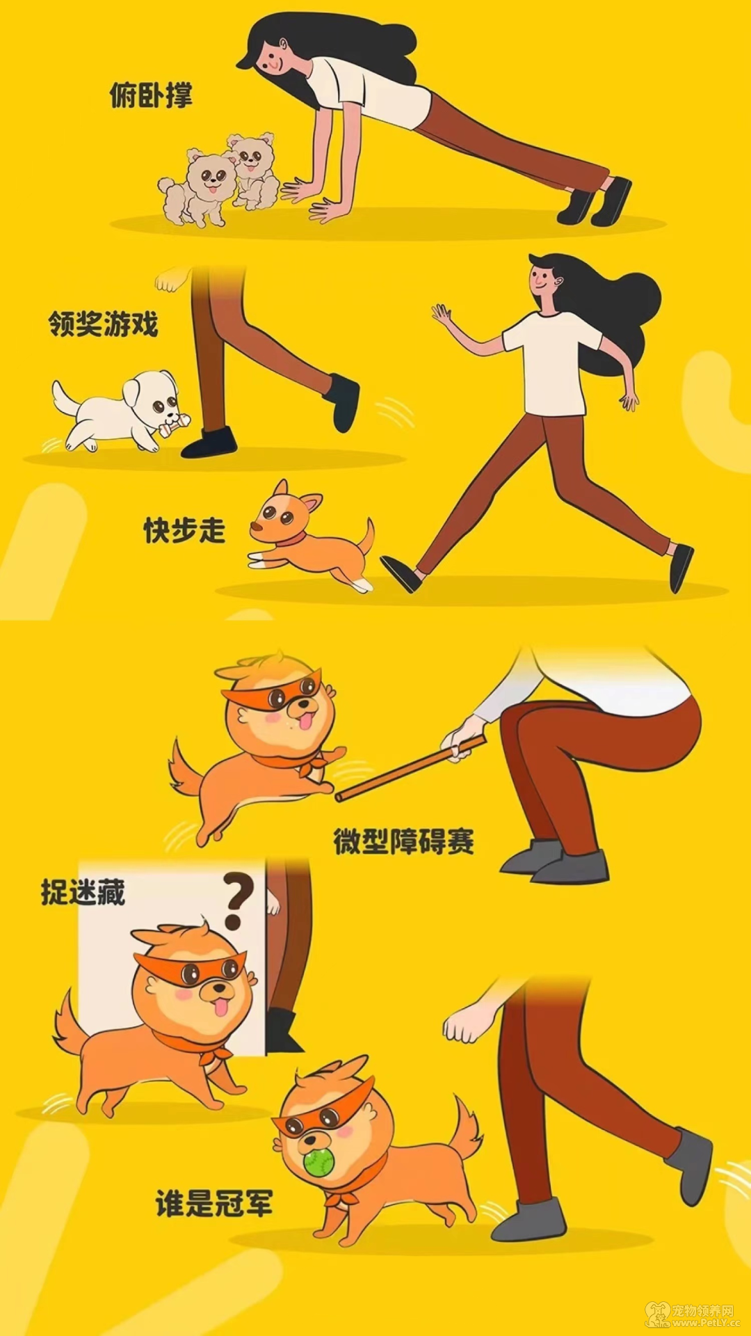 今天，你刘畊宏了嘛？和毛孩一起燃烧卡路里。