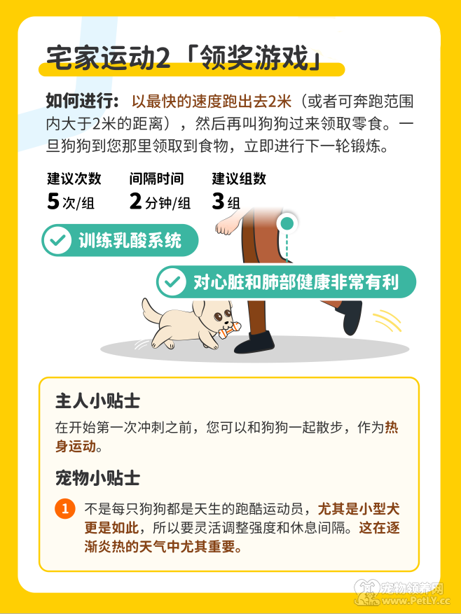 今天，你刘畊宏了嘛？和毛孩一起燃烧卡路里。