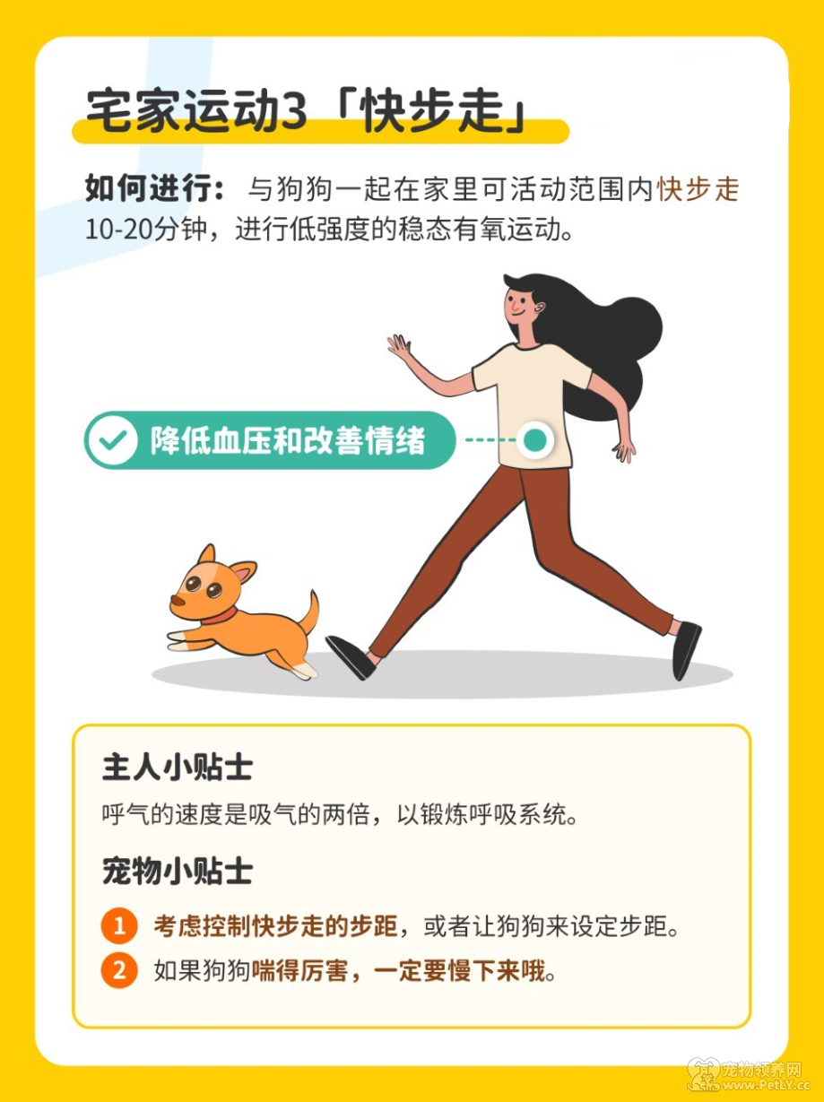 今天，你刘畊宏了嘛？和毛孩一起燃烧卡路里。