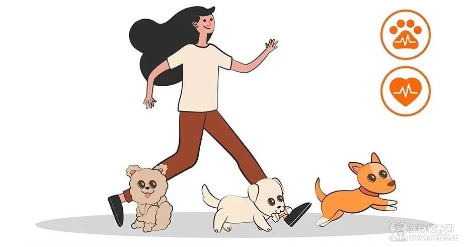 今天，你刘畊宏了嘛？和毛孩一起燃烧卡路里。