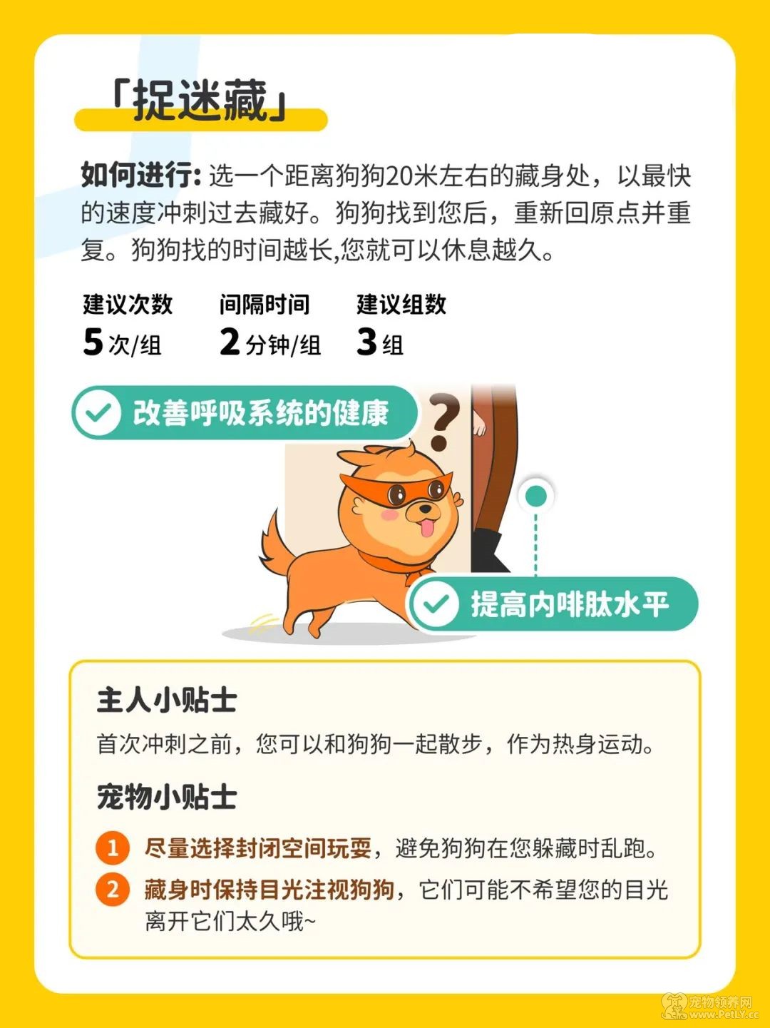 今天，你刘畊宏了嘛？和毛孩一起燃烧卡路里。
