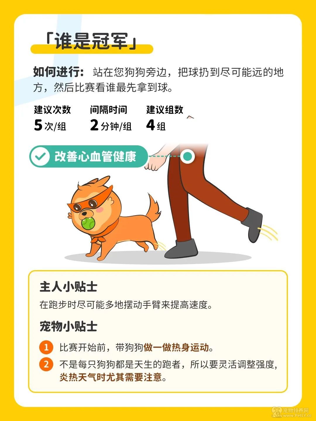 今天，你刘畊宏了嘛？和毛孩一起燃烧卡路里。
