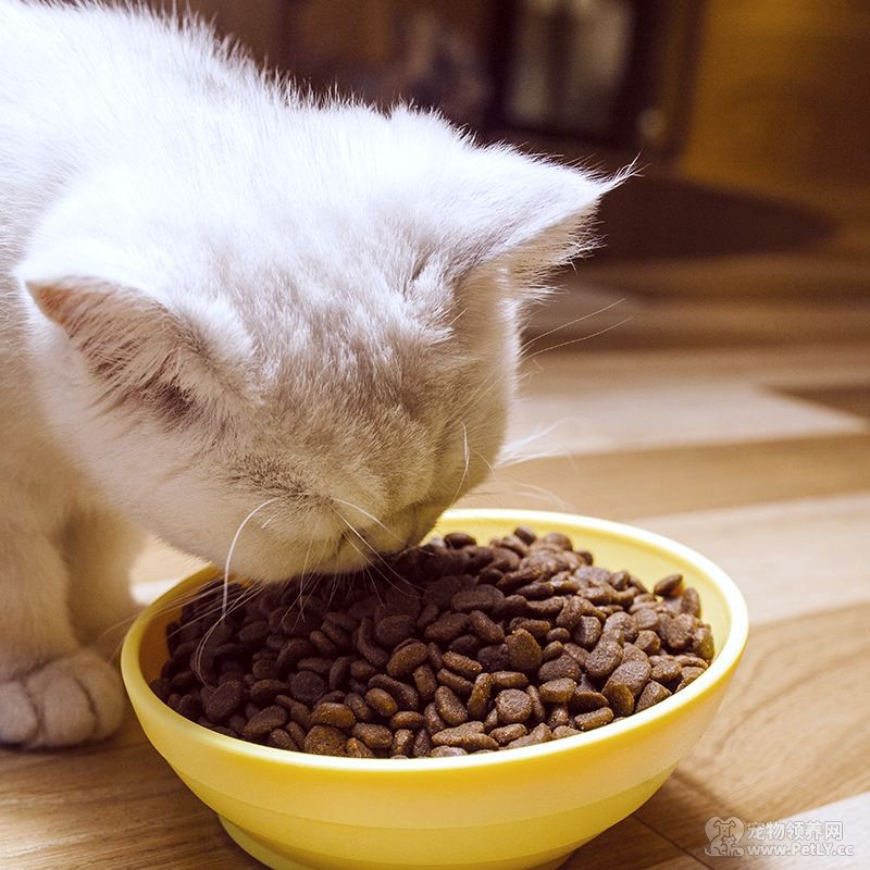 别人送了猫粮，猫咪可不可以两种猫粮一起吃？